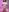 AdelineGoddess naked kitty 사진