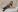 JennyCoquine Fan club Sexy en porte jarretelle Pic 5