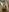 SensualG300 Spicy content Pic 3