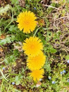 My life de HinaLovely  5 Imagens