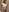 baby_brownie Flashing (PART 2) 사진 6