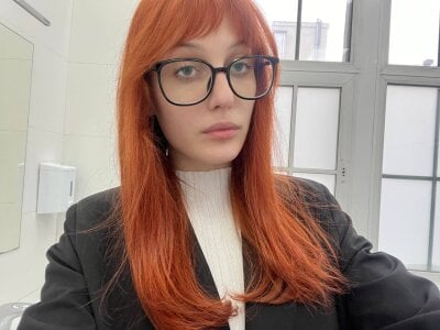 DayleNop Public Hình 3