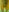lovedildo1 Huge dick Pic 4