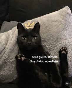 ZiziCampbell_ 😵‍💫 Pic 2