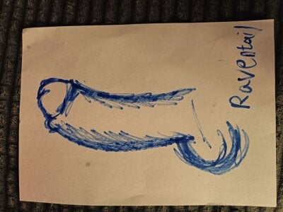 LuxBrunette_ Drawings of your dicks from streams 😎 зображення