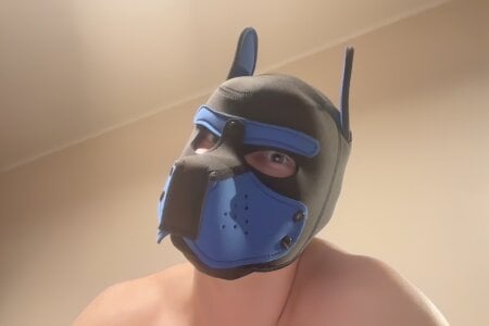 lilipupas Public Poză 3