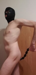 Livelikethecaptain Happy Foto