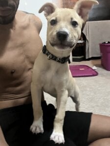 Tx_swallower Public Pic