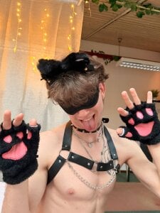 Public de meowmiu  9 Imagens