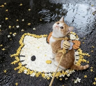 Agela_baby Public Pic 2