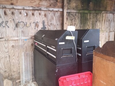 StoneballJacksonWoRHi Bild 5