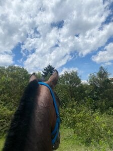 Amber_Martins_ Mío 🐎 Bilde