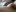 pussy cum de Venusluxodomme  5 fotos
