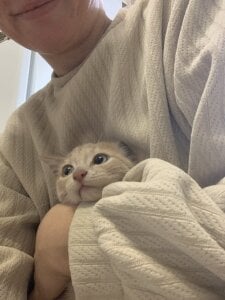 Alice_Amou a team of warmth and magic, filling every day with joy, purring and cheerful barking💖 Pic 4