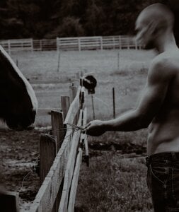 VanguardVarsity Marco Billede 3