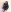 adasha_ Only pleasure and love will be here Foto  9