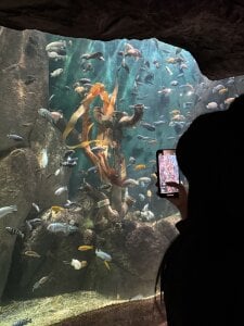 zevellez Views & Places Pic 2