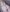 LaureenRoset only green panties on me 사진 3