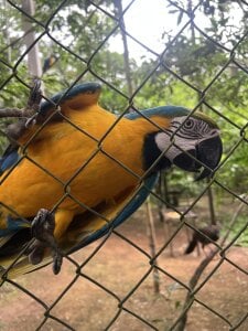 Public od Miguelsanmatin  6 snímek