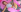 bonnie_moon Bonnie siendo bonnie ❤️ Pic 2
