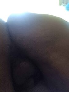 GorditoricoMX Public Immagine  2