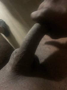 Zdjęcia DangoD215 Public:  5