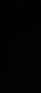 tyteo1010 Public 사진 2