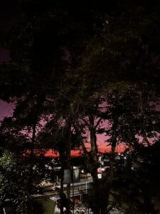 RonaldThompson__ Beautiful things Foto 6