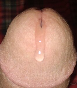 gspot-netym Public Immagine  5