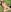 Petite-Romani-69 A Trip to the Countryside Pic 5