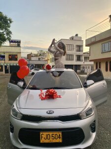 sweetsarabig22cm Me New Car 😍🚗 Εικόνα 8