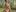_Soo_dreamy_Oily Breasts + Oily Muscles图片 2
