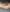 KapiLady_ my delicate and sexy body Photo 4