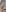 emily_campbell_ XOXO Pic 2