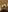 Aprill_Lin |improvisation| Pic 4