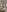 ColibriBlack Bed tease Pic 9