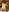 Genz_Student Ride a real dick Pic