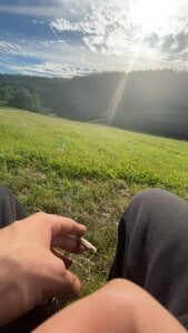 wecrulb Public зображення 3