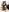 Erick_Basset A little more about me 사진 4