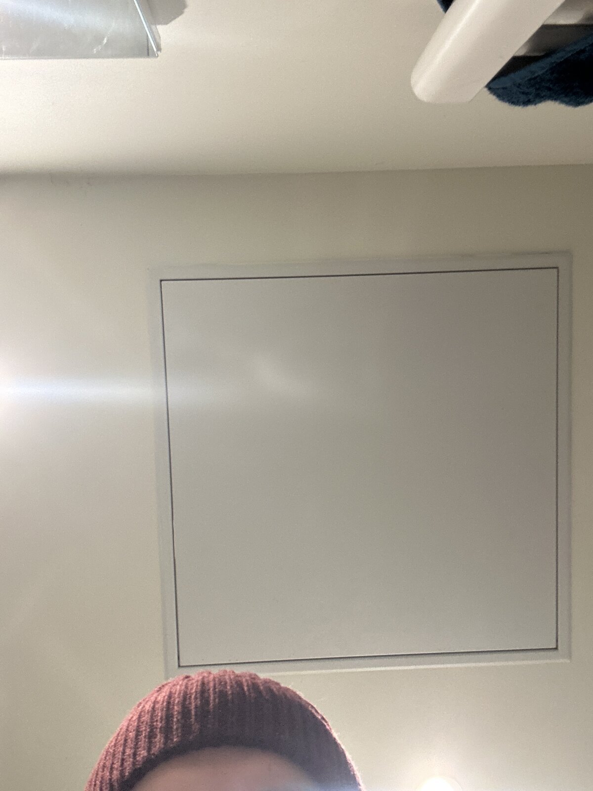 صور lion_sauvage الرائجة  6382