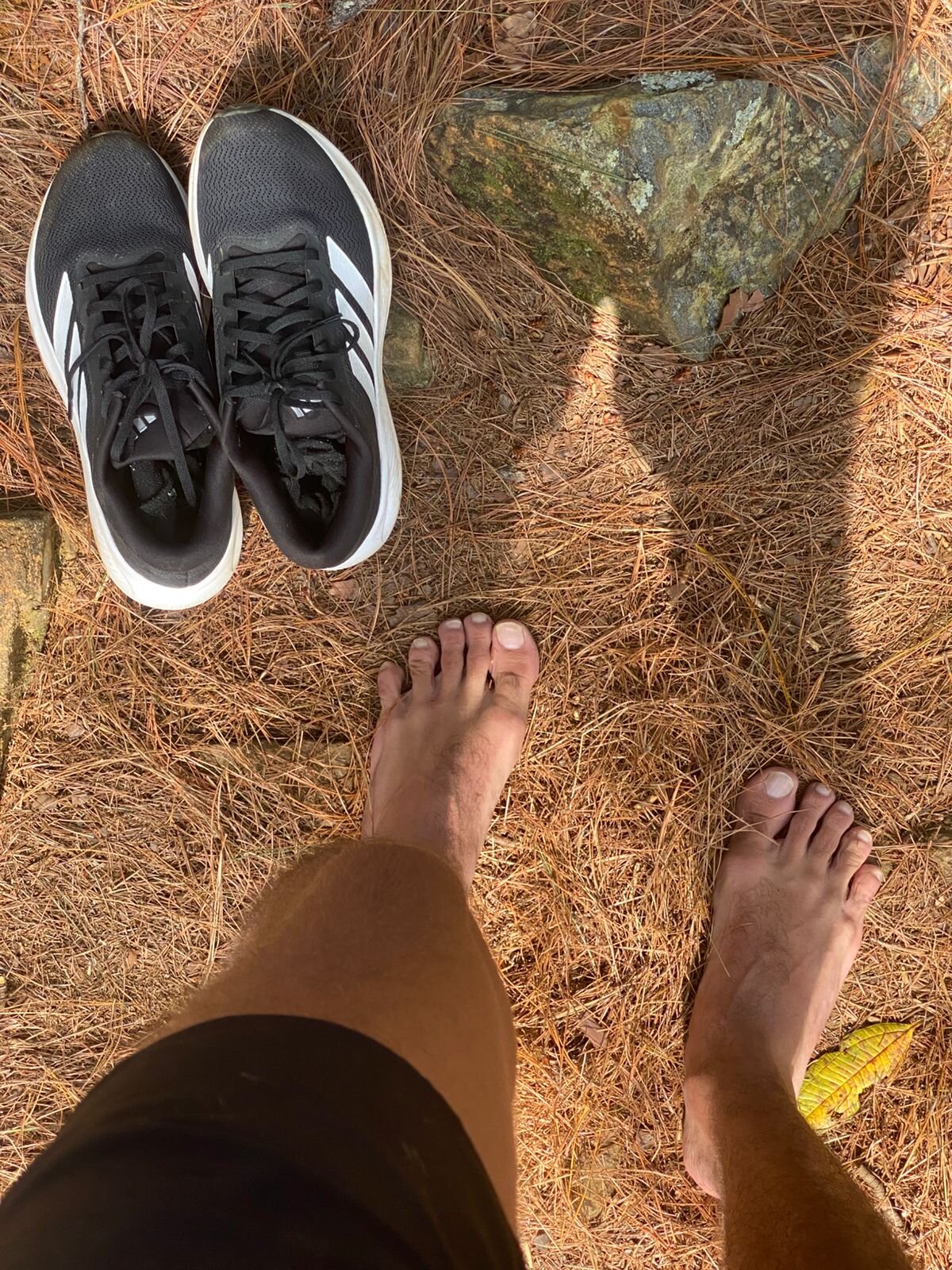 haku_kanjy immagine di tendenza 4984