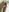 Alessiiaa_ 🎄🎁🥵😈🍑 Pic 2