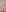 CelestialFoxxx 🦃 NOVEMBER - GOBBLE GANG CLUB 🦃 Pic Set - GLITTER/OIL + RAW PICS Pic 7