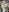 chris_adam97For you图片