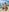 LoveShae_ Costa Rica Poolside Pussy, Ass, & Titty PICS Pic 8