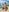 LoveShae_ Costa Rica Poolside Pussy, Ass, & Titty PICS Photo 8