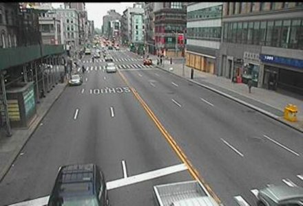 BusterNut NYC 6-4-20 Pic 5