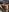 gunter_meiner Forest adventure 사진 5