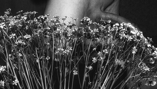 muffledscreeching_v2 Public Pic 2