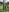 LaraBlond Lara Nackt auf der Alm Pic 4